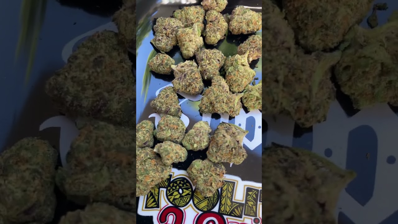 Paris OG Cizi 7 Grammy #california #review #shorts #strainreviews #2025