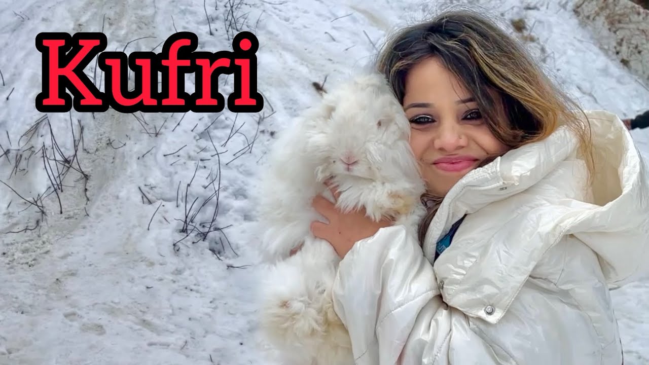 Shimla to kufri journey and climate details 🛤️🚌do’s and don’t  #shimla #kufri ❄️ #divyasharma part-2