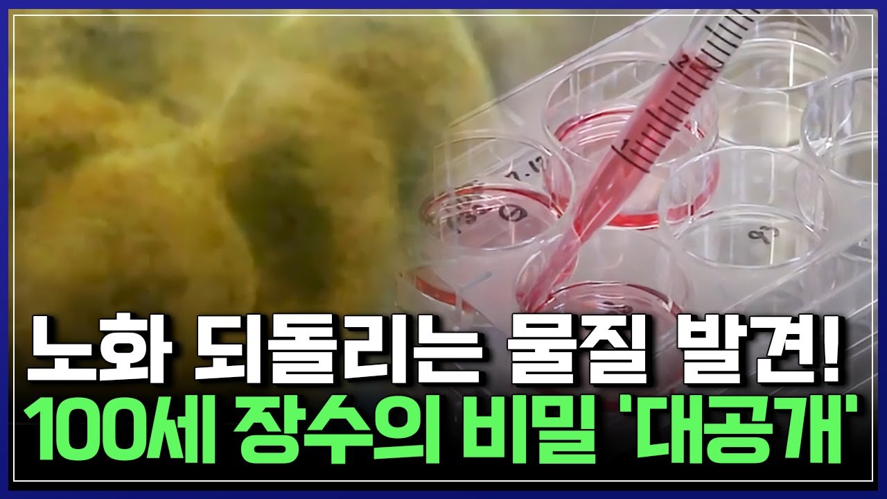 늙은 세포가 다시 젊어진다?! 노화의 비밀을 푼 한국 과학자 [반복재생] / YTN 사이언스