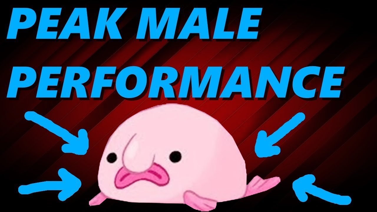 Blobfish, Peak Male Performance, Kwehzy Drops Her Controller On Her Toe [Stream Highlights]