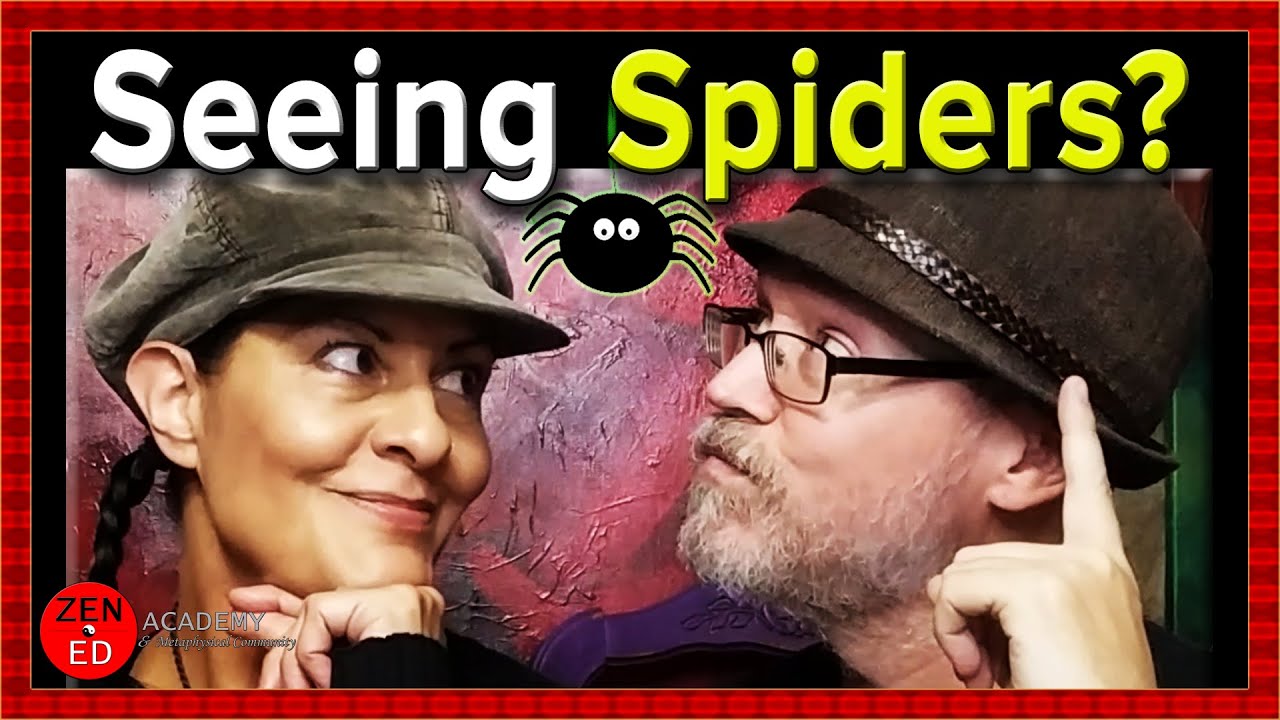 Spider Animal Spirit Guide Meaning & Symbolism