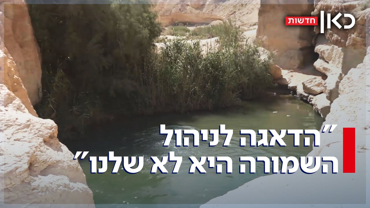 שמורת הטבע ששרדה אלפי שנים - ונמצאת בסכנה: המאבק על עין יורקעם