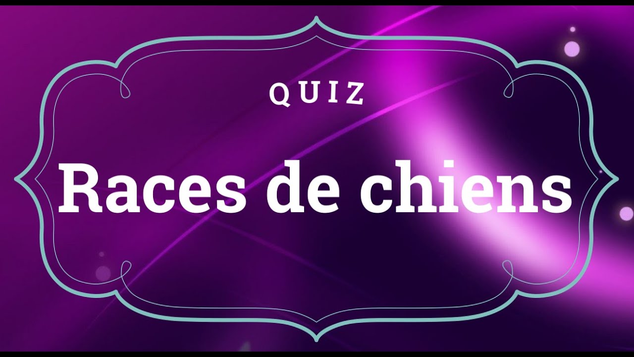 Quiz - Races de chiens