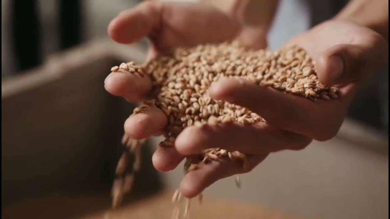 AgriSense Smart Farming Tool. Farm Smart. Save More. Grow More.A Precision Agriculture Startup Idea.