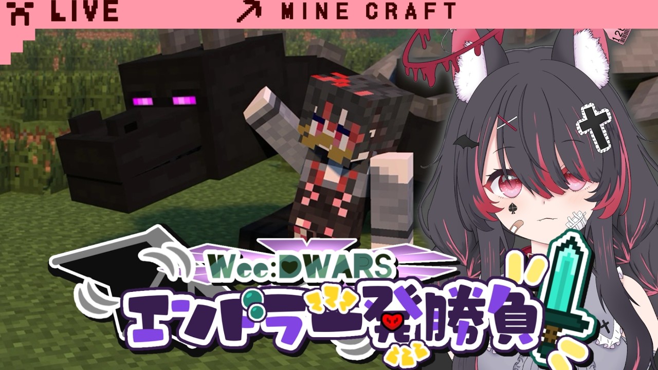 【#Minecraft】死んだら即終了💦総勢30人でマイクラハードコア! くろろは生き残れるのか⁉【冴月くろろ/#WeeDWARSエンドラ一発勝負 】