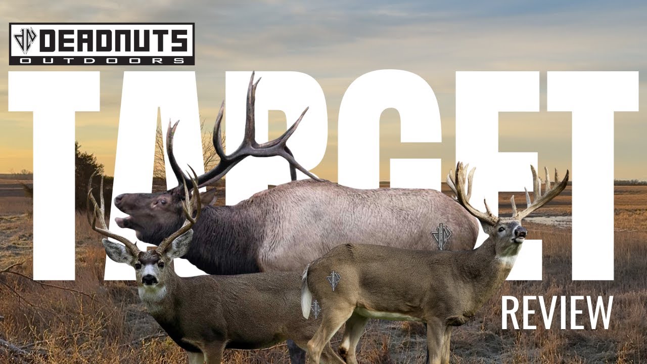Самые РЕАЛИСТИЧНЫЕ мишени для стрельбы из лука &mdash; 2D-мишени от DEADNUTS OUTDOORS.
