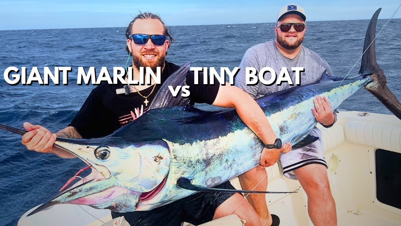 🎣WE CAUGHT A GIANT BLUE MARLIN ON A 24 FT BOAT!! 😱