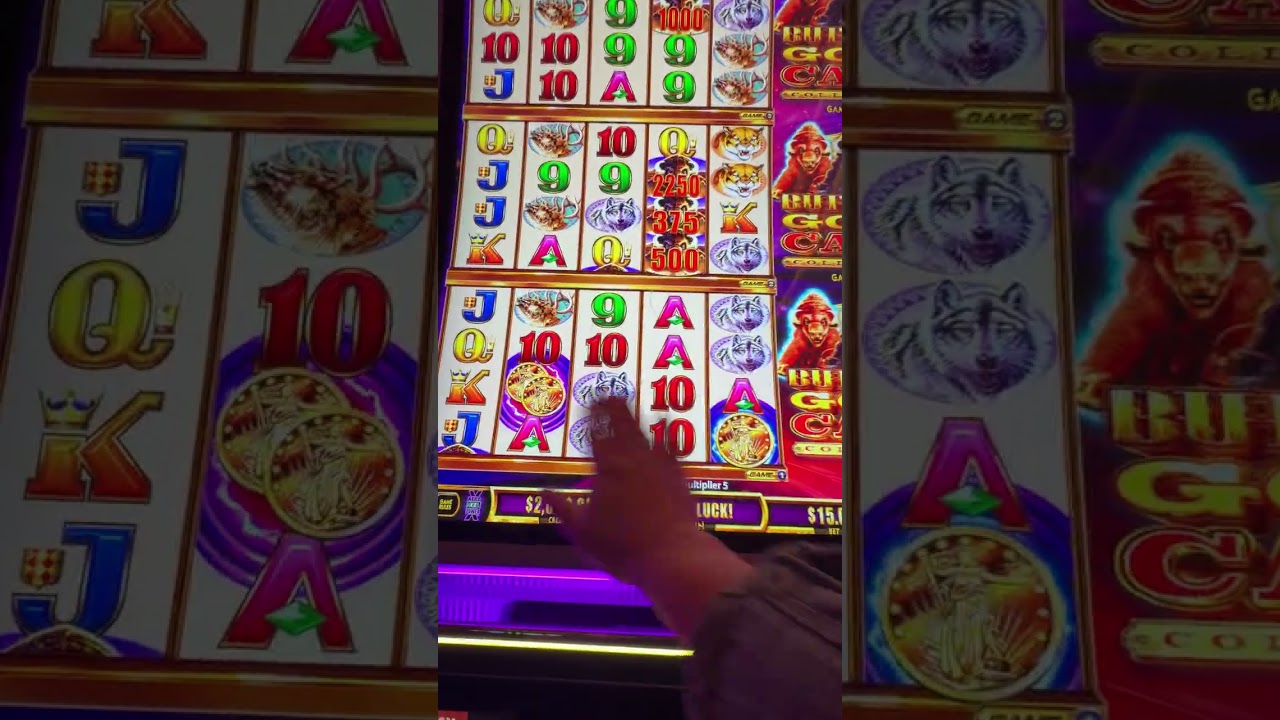 $30 BETS on Wonder 4 Buffalo at Pechanga Casino! BIG WIN or BIG LOSS?
