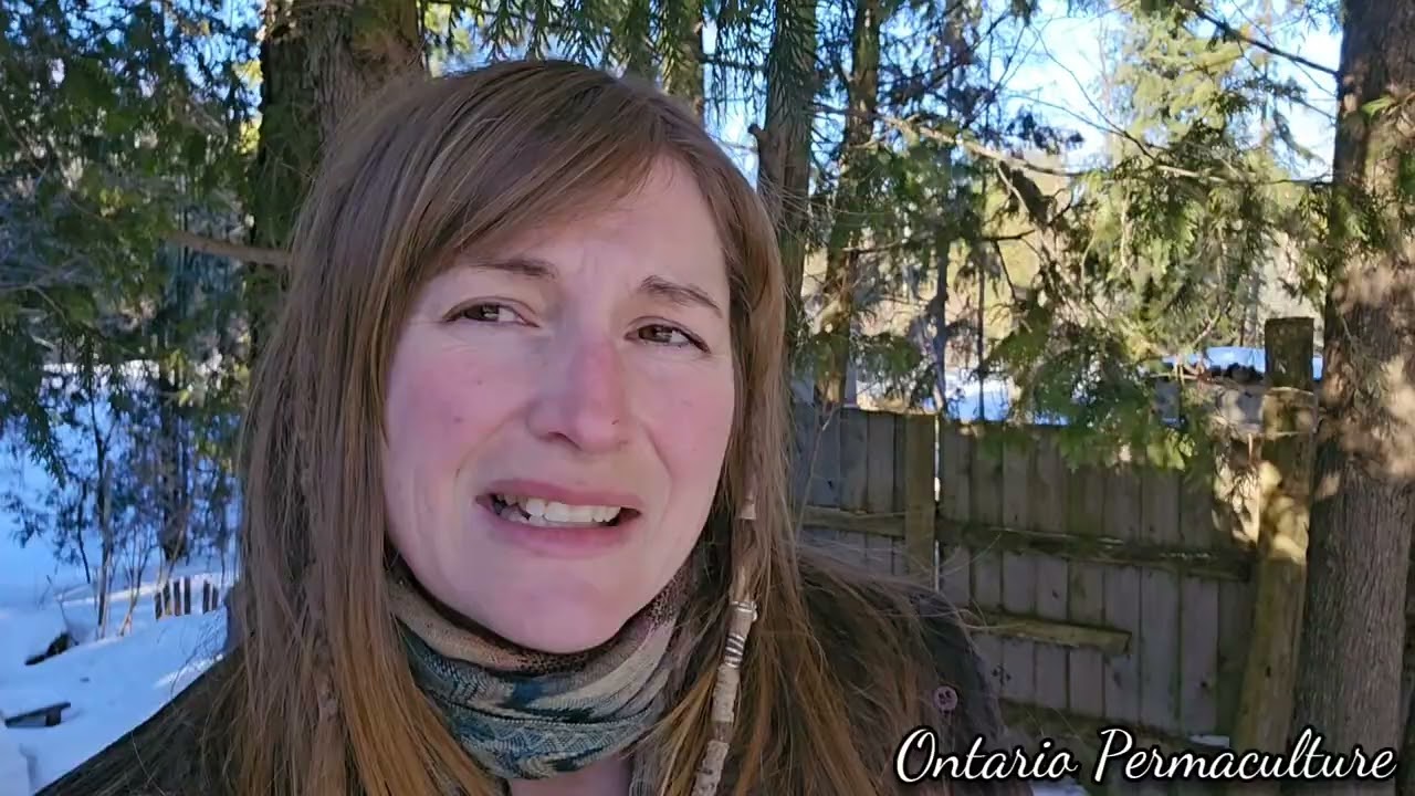 Learning from mistakes and starting over is Permaculture 