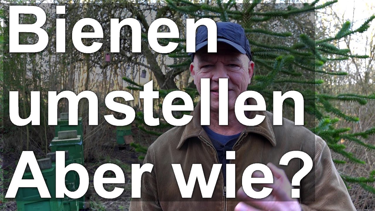 Bienen umstellen im Winter auf kurze Distanz - aber wie?