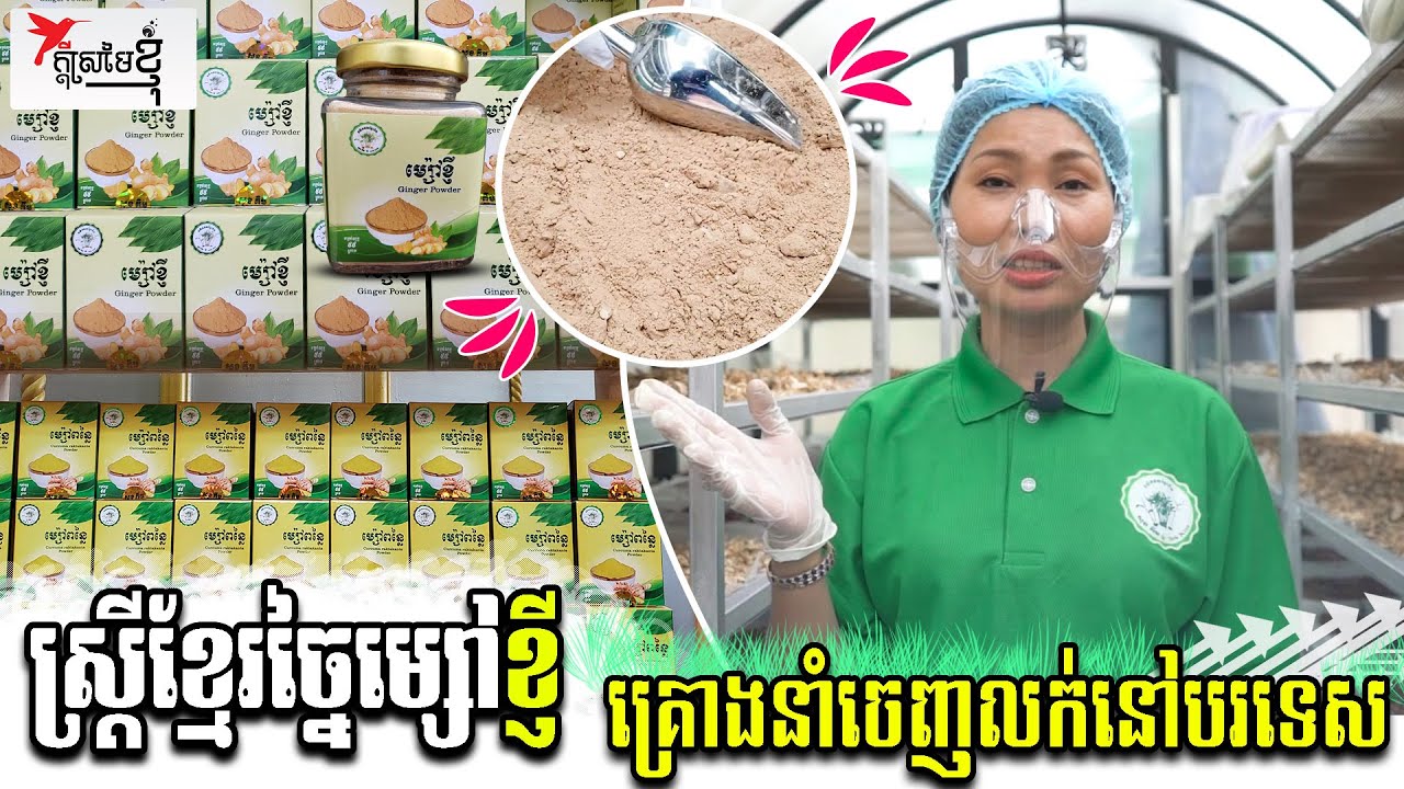 ស្រ្ដីខ្មែរមួយរូបច្នៃម្សៅខ្ញី គ្រោងនាំចេញលក់នៅបរទេស | កម្មវិធីក្ដីស្រមៃខ្ញុំ