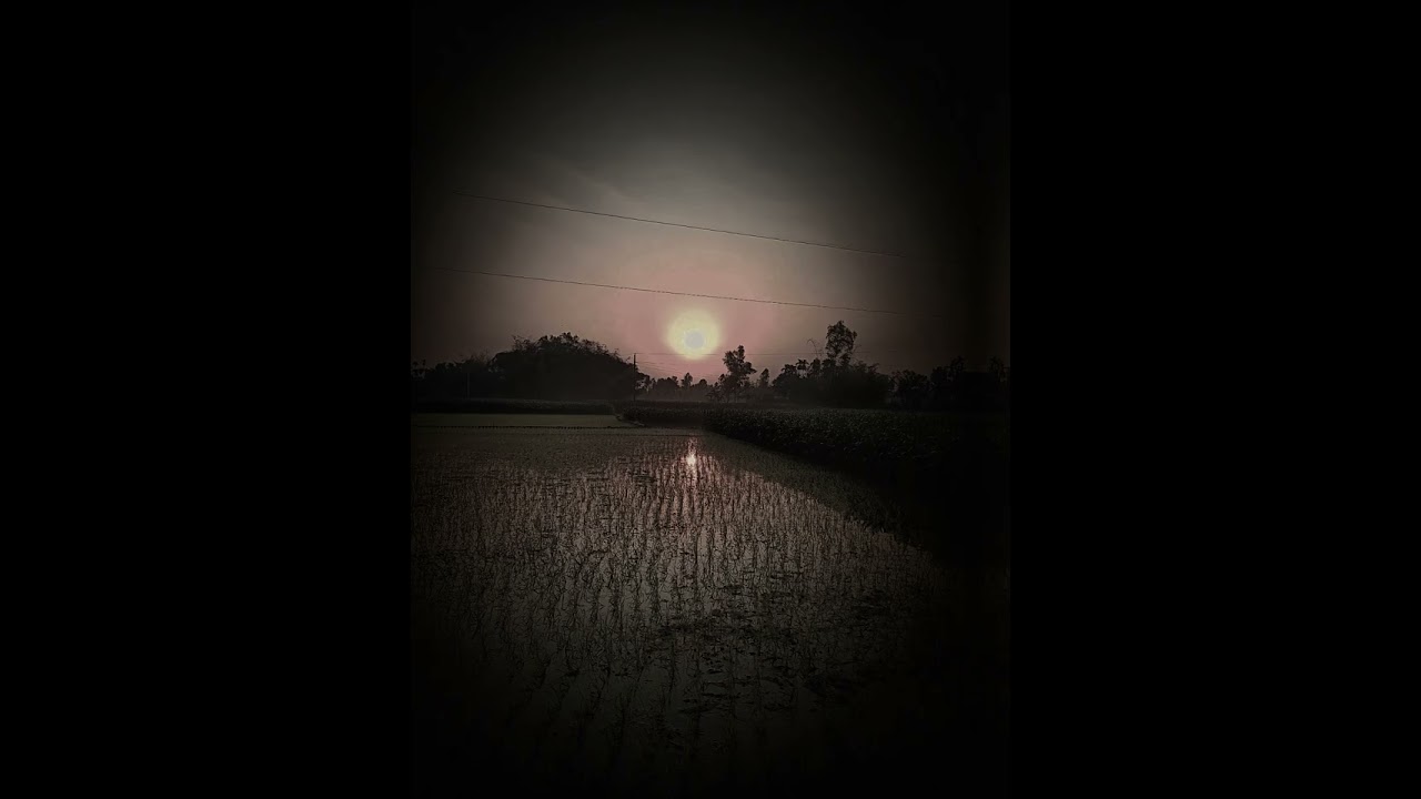 ৯০ দশকের বিকেল 😅