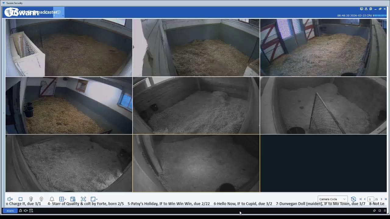 CLF Foaling Cams 2/21/26