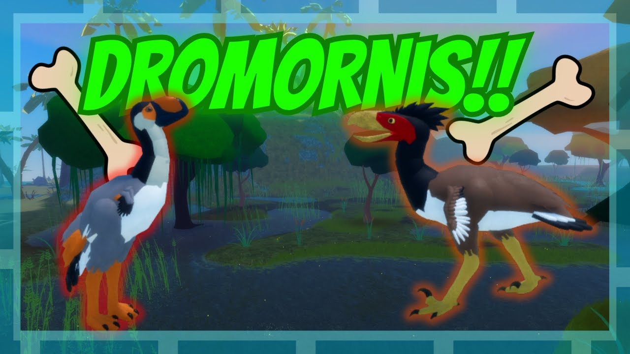 The EXTINCT Dromornis In Feather Family Is Incredible!!
