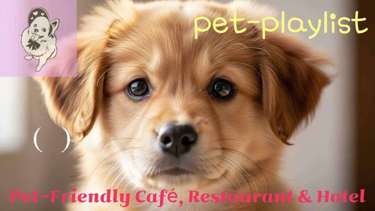 Pet Republic Yongmun Pet Hotel, Café, Restaurant, Pool & Spa