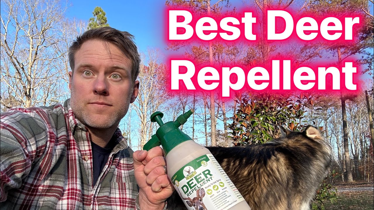 Best DEER REPELLENT for your Trees