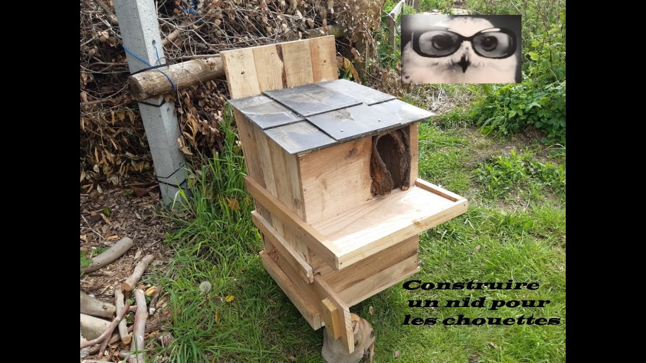 Construire un nichoir pour Chouettes