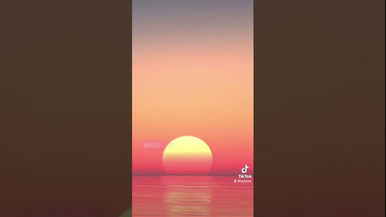 L I L Y official music video