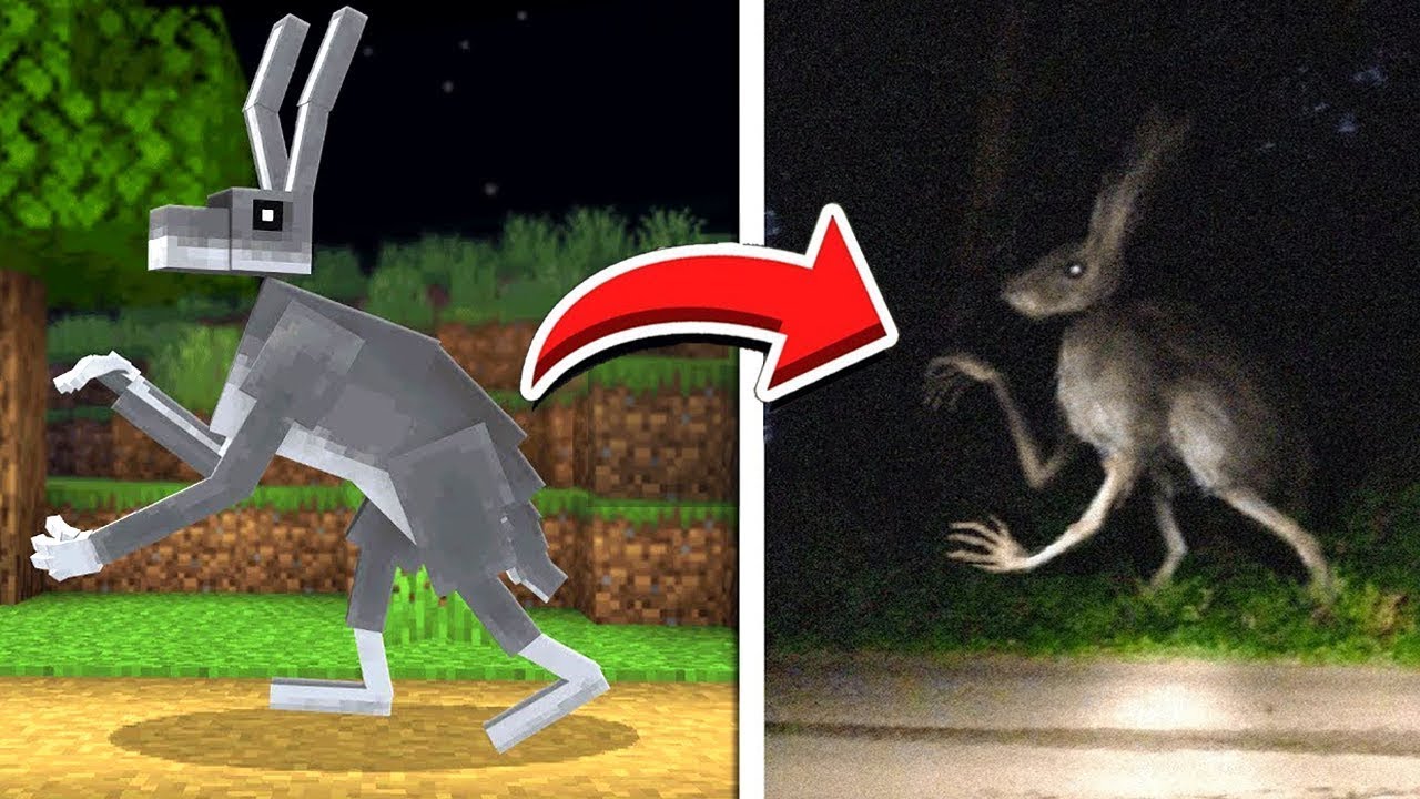 Mobs do Minecraft CAPTURADOS NA VIDA REAL