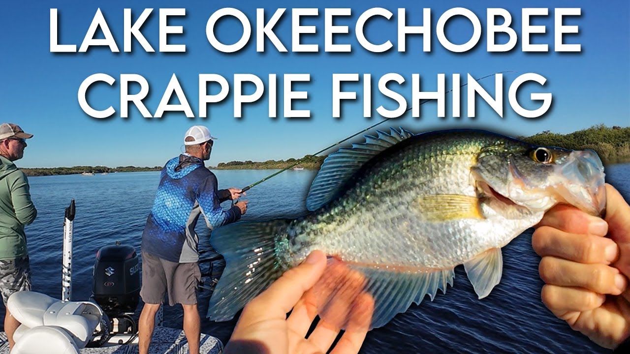 Crappie Fishing Lake Okeechobee! (Catch & Clean)