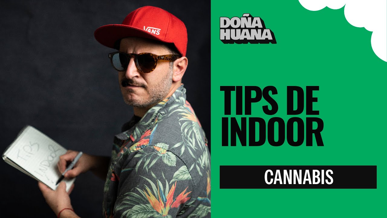 CANNABIS - TIPS DE INDOOR