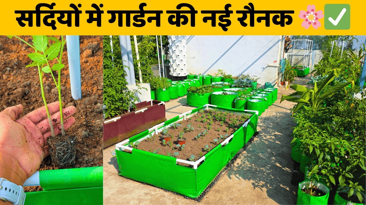 पौधों की ग्रोथ अपडेट और सर्दियों का गार्डन टूर🪴| Winter Terrace Garden Tour And Plant Growth Update