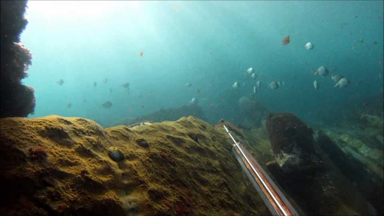 pepinsub pesca submarina,pesca a la espera