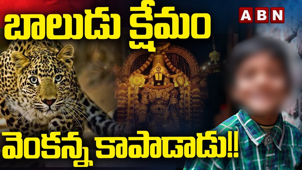 బాలుడు క్షేమం .. వెంకన్న కాపాడాడు..!! ||  Cheetah Incident in Tirumala || ABN Telugu