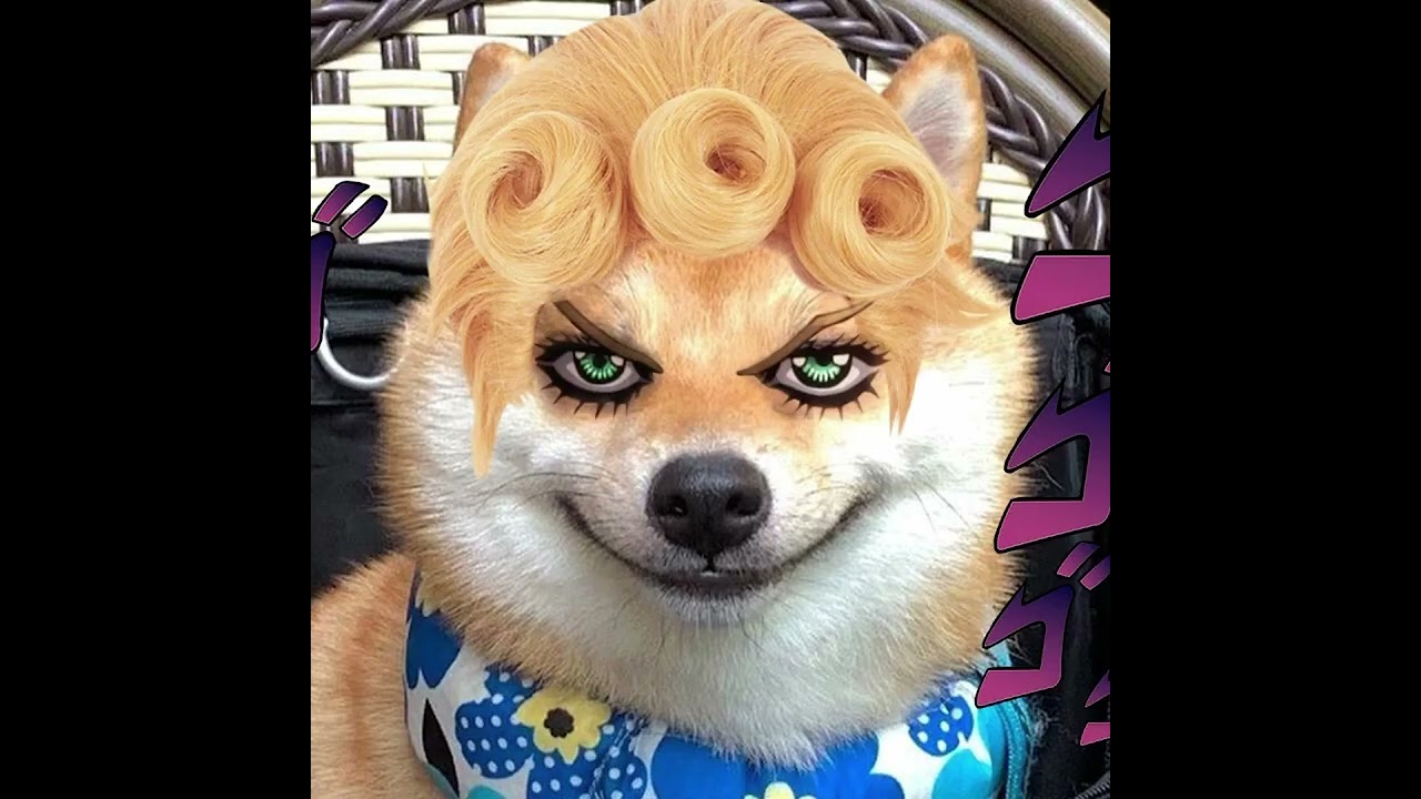 Dawgos спалил шутку Коли