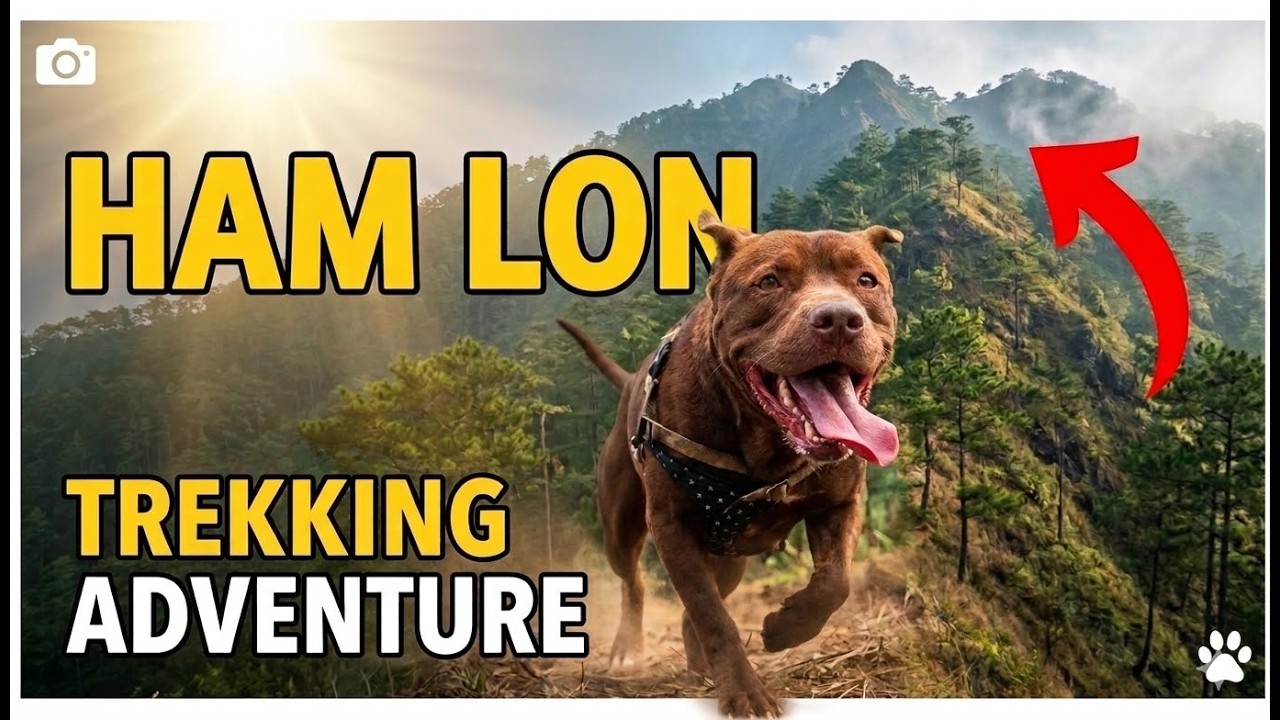 Solo Hiking Camping Ham Lon Mountain , Dong Quan Lake  , 40min from Hanoi | ASMR POV (FULL)