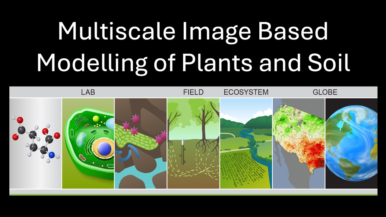 Tiina Roose : Multiscale Image Based Modelling of Plants and Soil