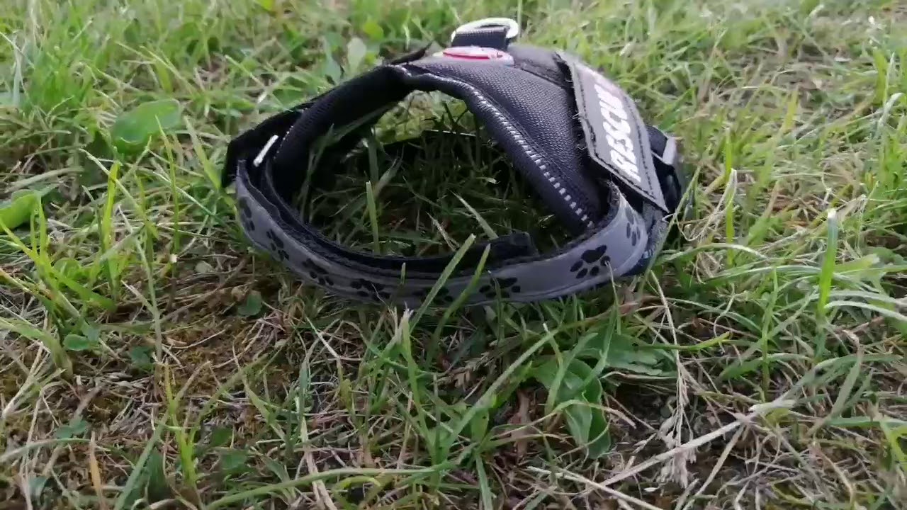Szelki dla psa rescue, typu julius K9 - Napoleon