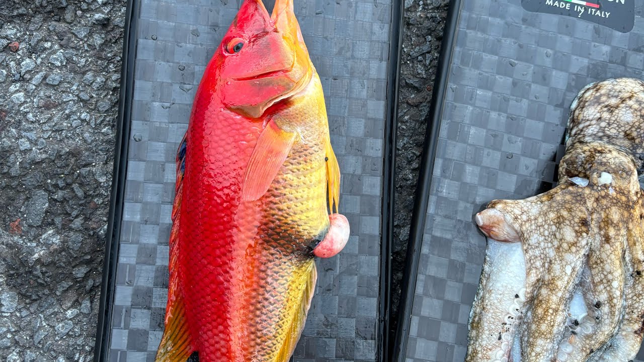 Pesca submarina Açores janeiro 2025 inverno um dia complicado