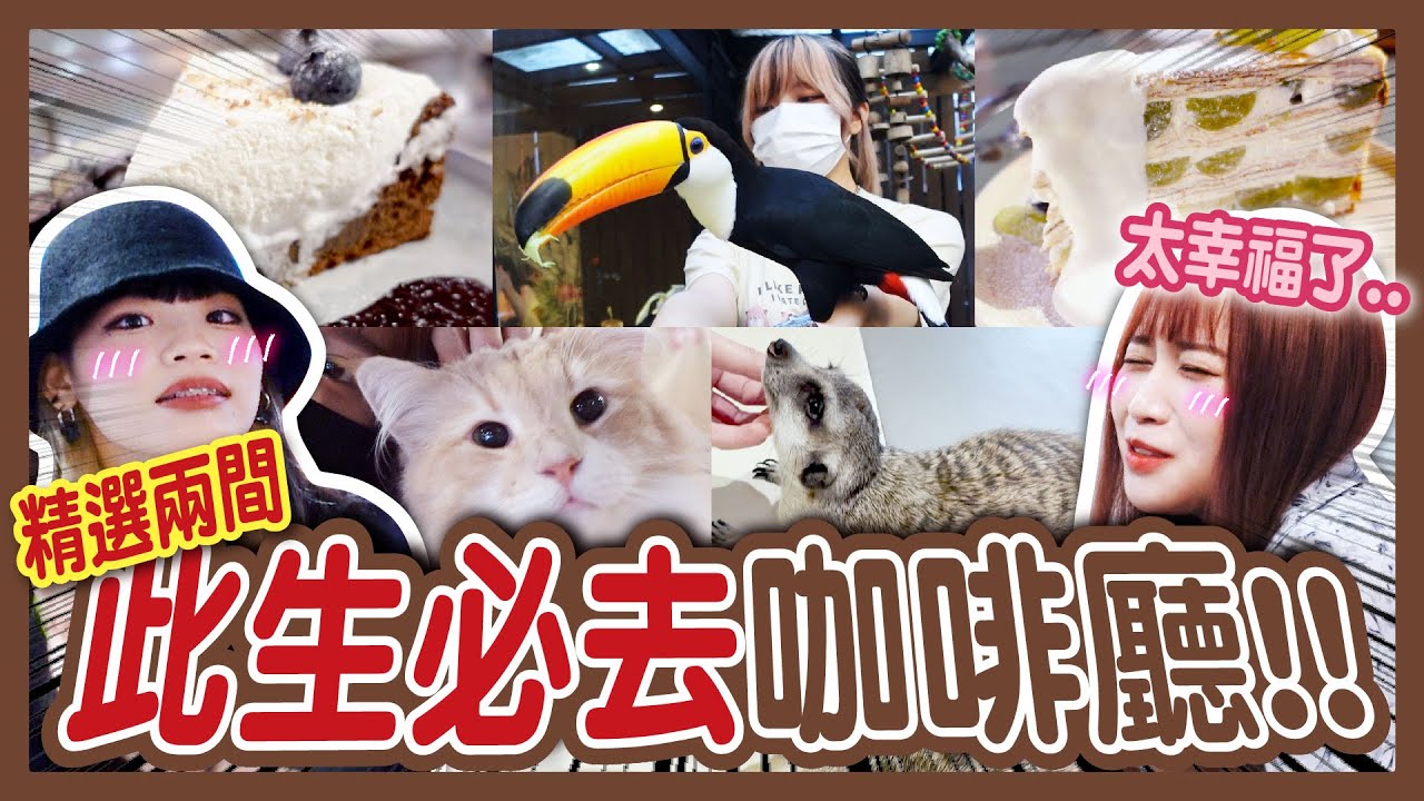 【美食】沒去會後悔！基隆、台北2間特色複合式咖啡廳！拍照打卡景點！和狐獴、大嘴鳥互動！寵物貓咪餐廳！復古餐廳＋古著服飾店！肉球森林、金派甜點！│八婆BESTIES