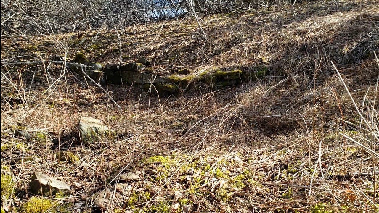 Metal Detecting Canada- Equinox 600 vs pounded cellar holes