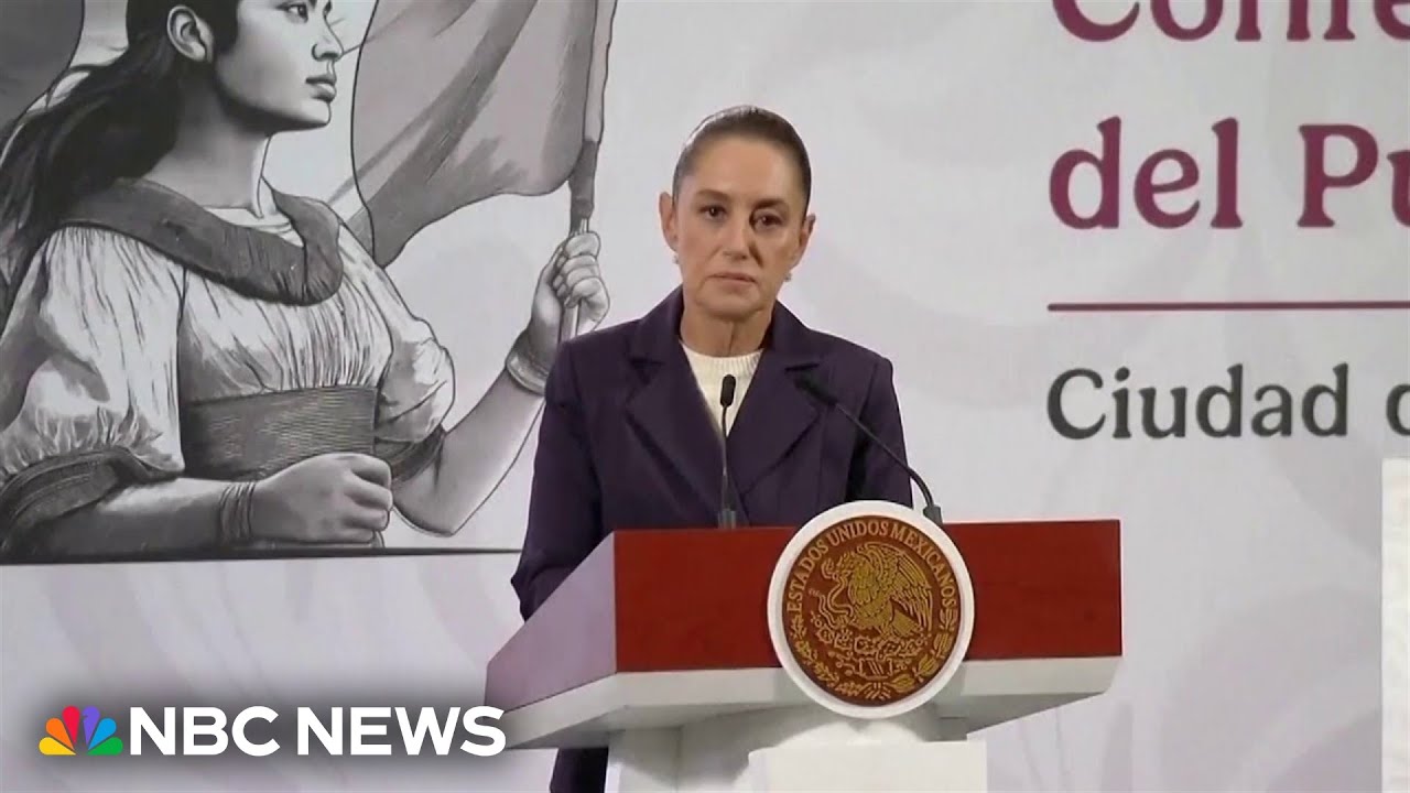 Mexican president to press charges after video shows her being groped