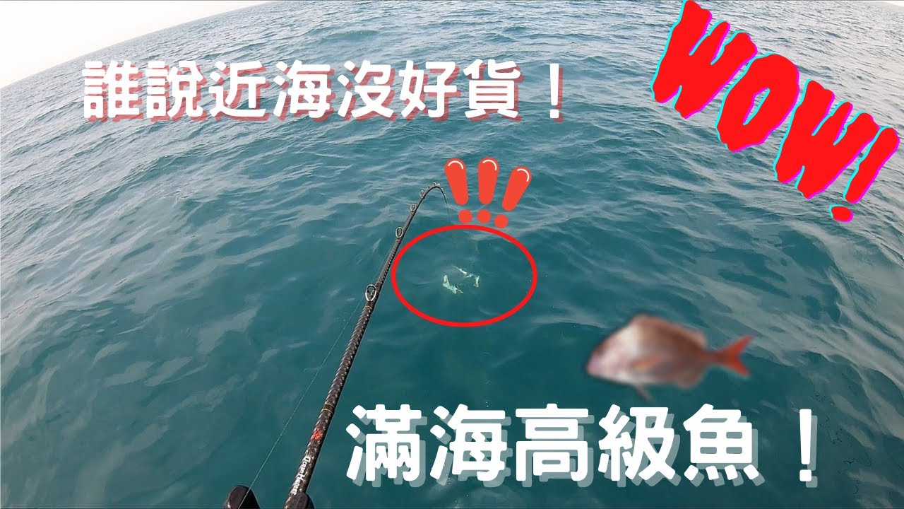 《船釣》近海敲底班，整船滿滿高級魚，尋找赤鯮跟馬頭意外遇見超級好吃的魚種…… #Taiwan #這個小寶哥 #敲底船釣 #赤鯮 #馬頭 #吉陽168 #六節竿 #高級魚 #近海釣魚趣