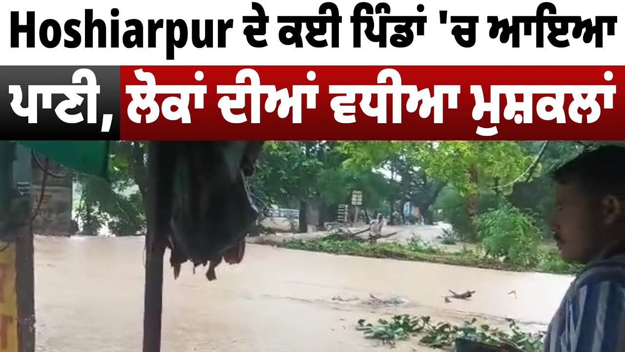 Hoshiarpur News |Hoshiarpur ਦੇ ਕਈ ਪਿੰਡਾਂ 'ਚ ਆਇਆ ਪਾਣੀ, ਲੋਕਾਂ ਦੀਆਂ ਵਧੀਆ ਮੁਸ਼ਕਲਾਂ,ਦੇਖੋ ਮੌਕੇ ਦੀਆਂ ਤਸਵੀਰਾਂ
