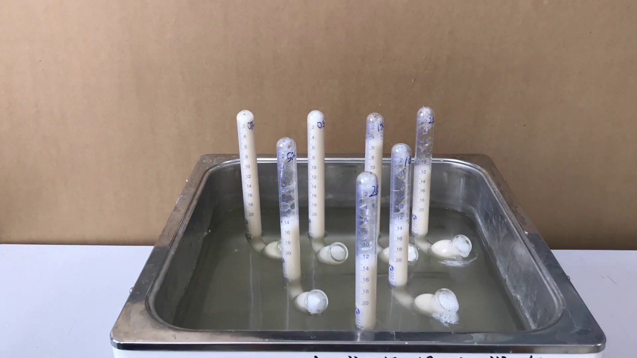 Yeast Fermentation Experiment in Different Concentrations of Sucrose