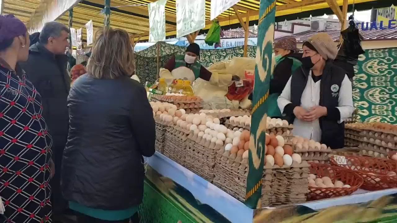 Özbekistan  calışma ve ev kiraları