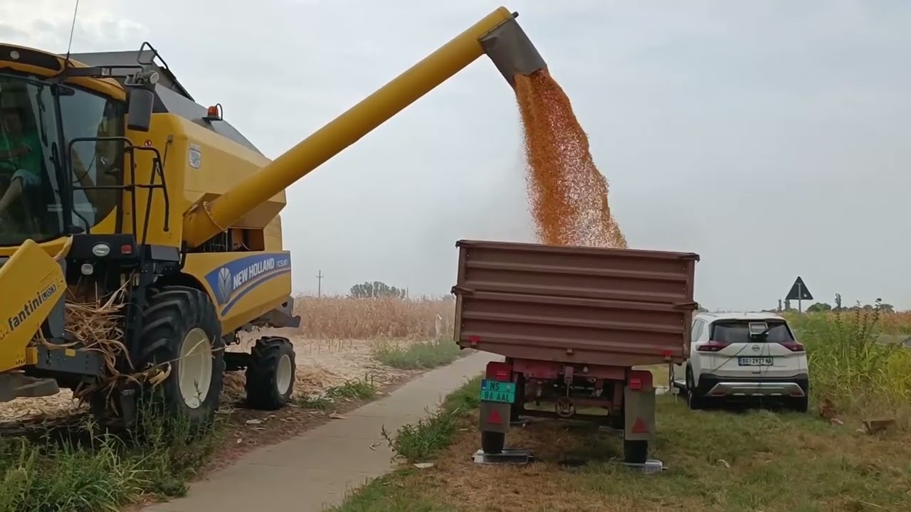 DKC KAO U NAJBOLJIM GODINAMA