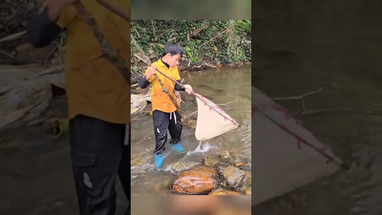 Highland Boy's Epic Adventure: Catching Giant Carp & Catfish by Damming Water – Daily Life on the 