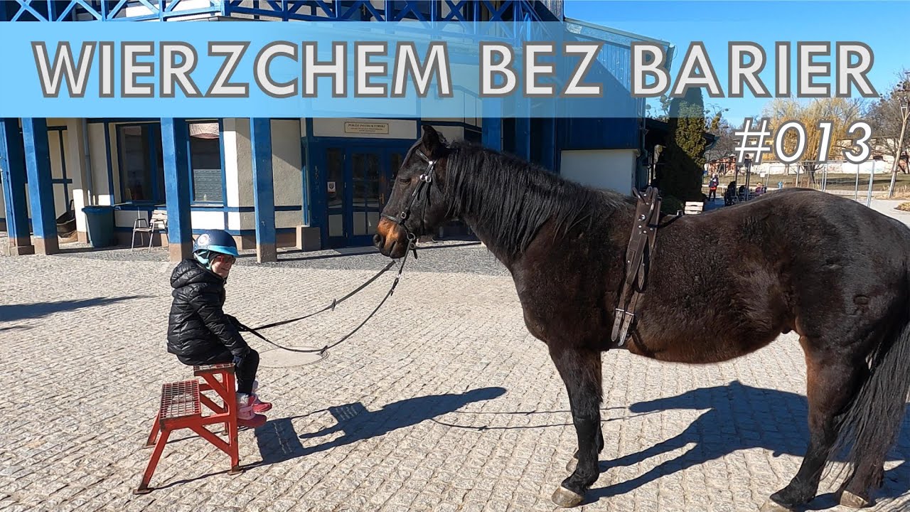 TERENIA TV | WIERZCHEM BEZ BARIER | #013 | RUBYHIPPOTERAPHY | TOR PARTYNICE WROCŁAW | JAZDA KONNA