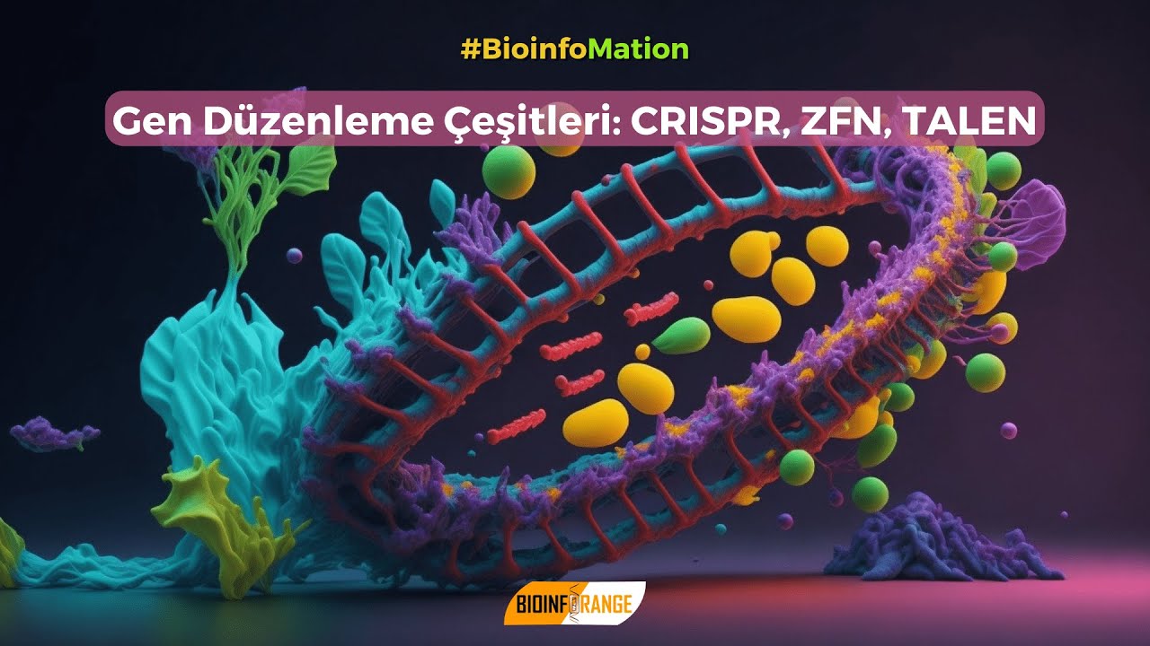Gen Düzenleme Çeşitleri: CRISPR, ZFN, TALEN