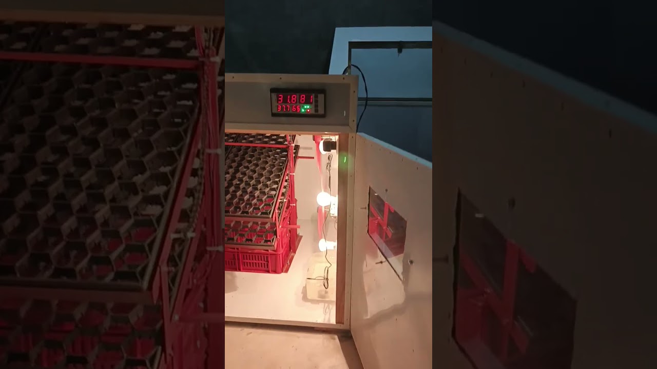 incubator 