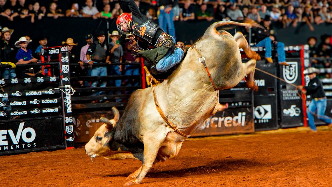 Rodeio em Touros de UMUARAMA-PR 2025 - Melhores momentos do Round 1