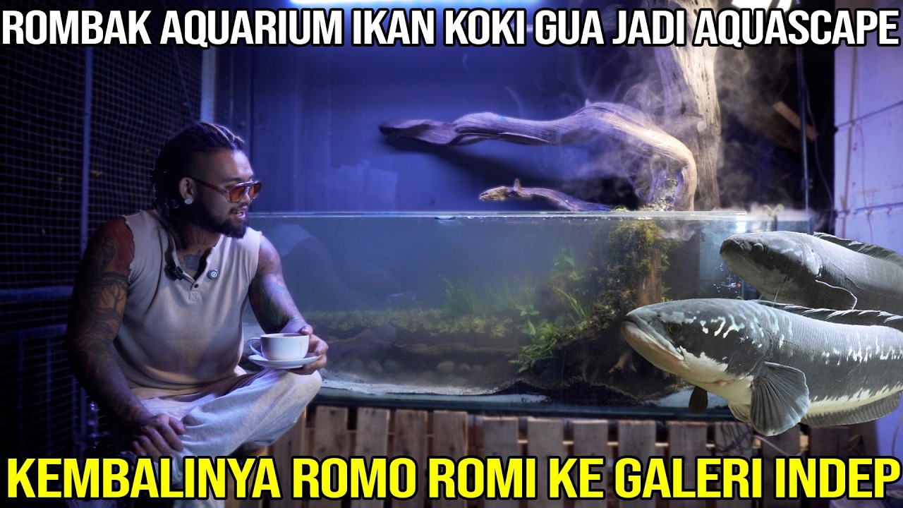 ROMBAK AQUARIUM KOKI GUE JADI AQUASCAPE. KEMBALI NYA ROMO ROMI KE GALERI INDEP.