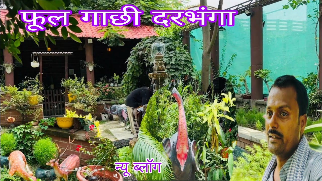 फूल गाछी दरभंगा//phool Gachi Darbhanga   PHOOl GACHI ka video दरभंगा