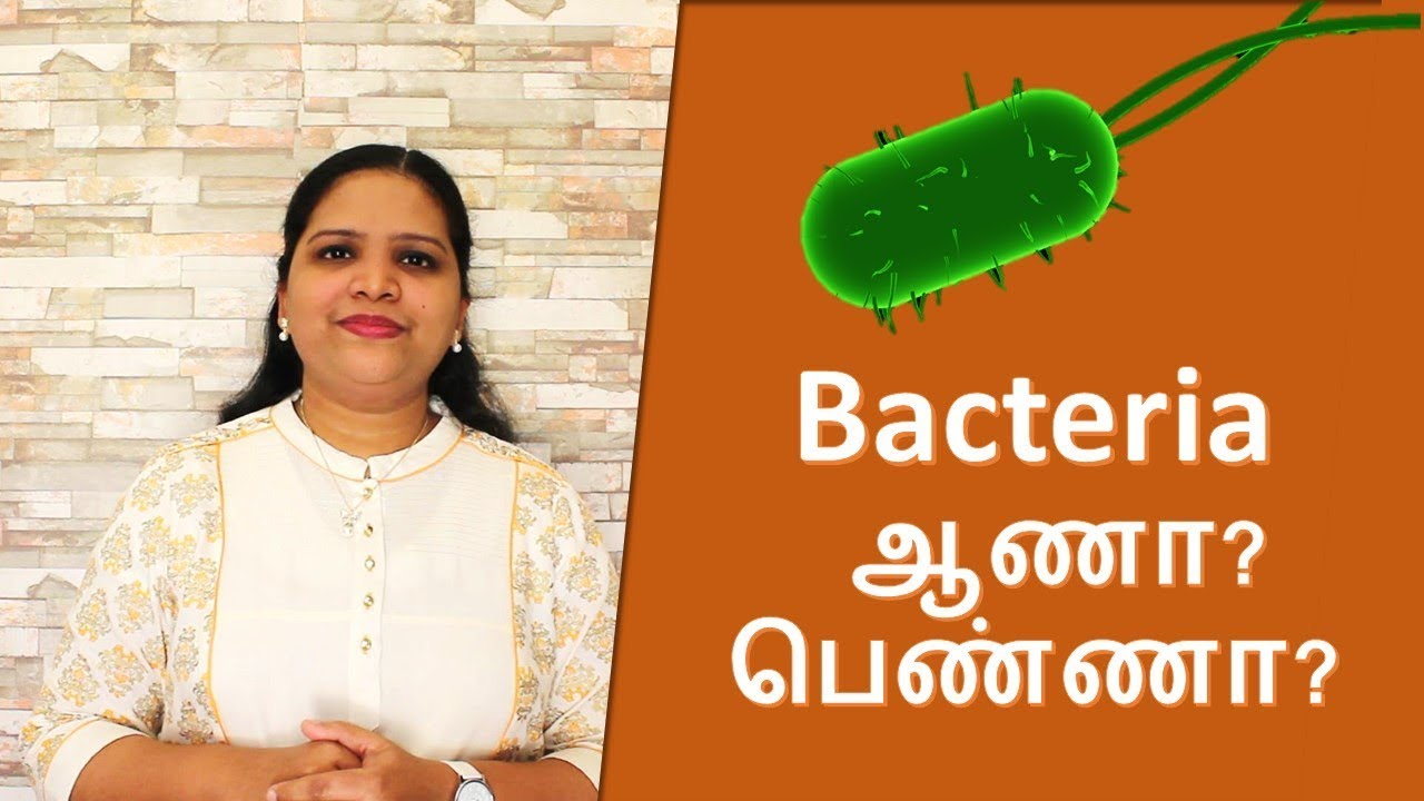 What is bacteria? - Tamil