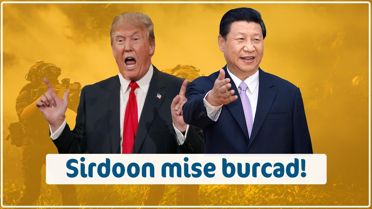 Sirdoonka Shiinaha | Sirdoon mise burcad!
